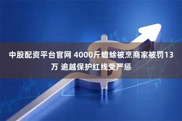 中股配资平台官网 4000斤蟾蜍被烹商家被罚13万 逾越保护红线受严惩