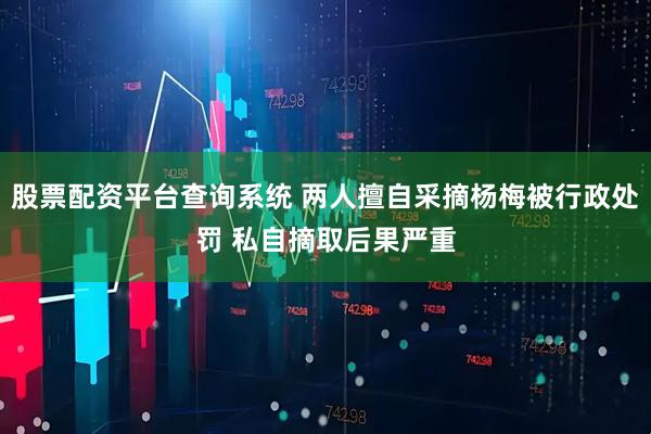 股票配资平台查询系统 两人擅自采摘杨梅被行政处罚 私自摘取后果严重