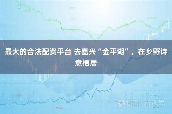 最大的合法配资平台 去嘉兴“金平湖”，在乡野诗意栖居